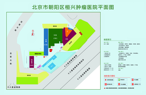 骚货叫大声点北京市朝阳区桓兴肿瘤医院平面图